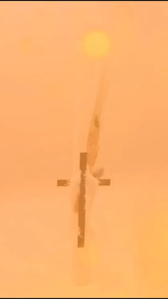 Palms 2026: Golden Cross